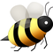 53876303.png