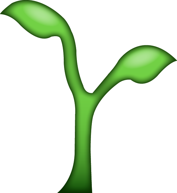 53875516.png